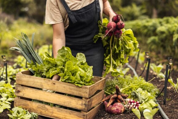 Costs continue to squeeze restaurants as food inflation remains elevated