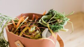The sustainability myth that’s costing restaurants money